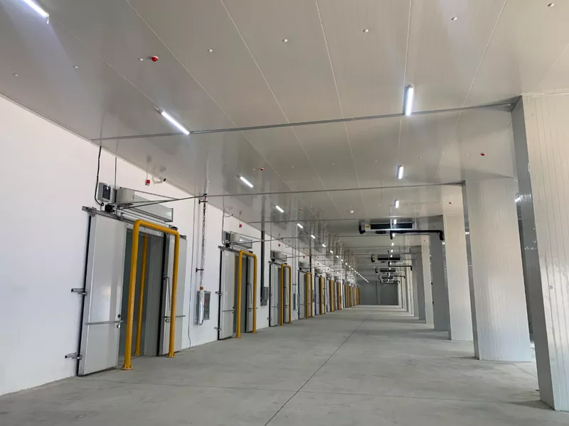 Magazzino a struttura in acciaio per refrigerazione